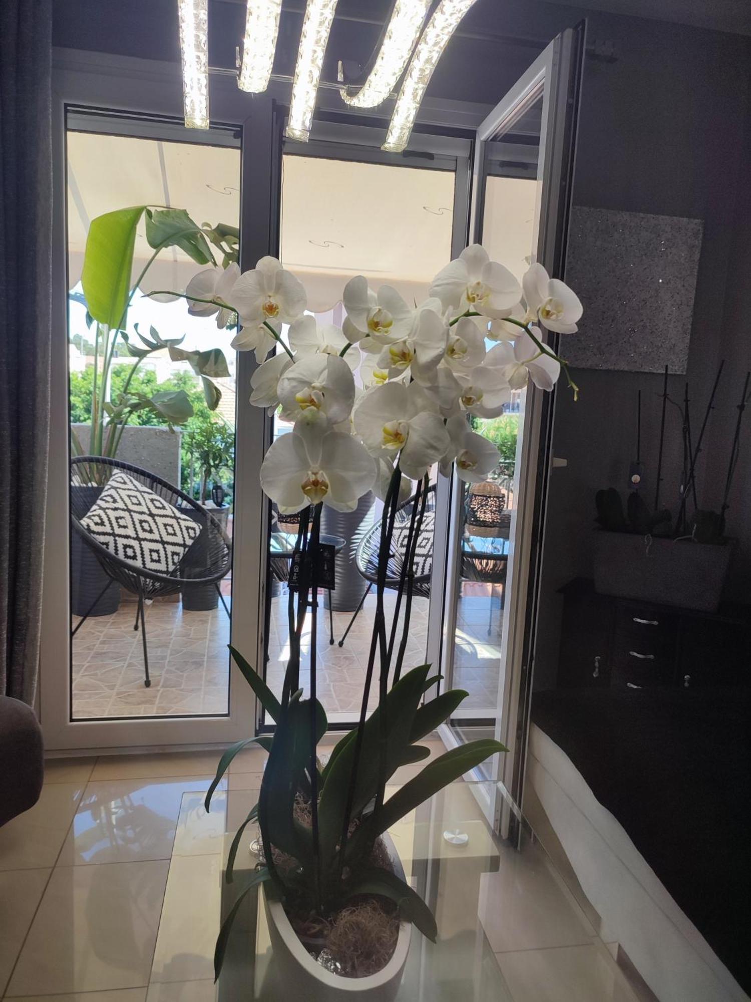 Diamond City Lux Apartment Argostoli  Exteriör bild